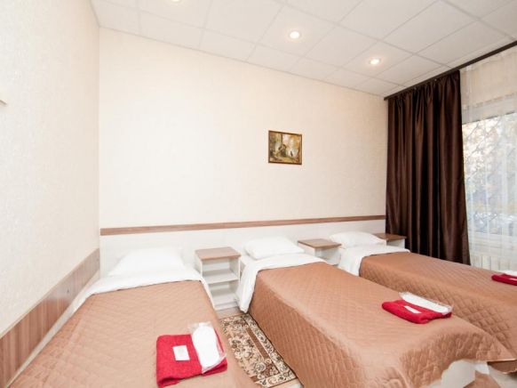 Фотография номера мини отеля Ладомир в Филях