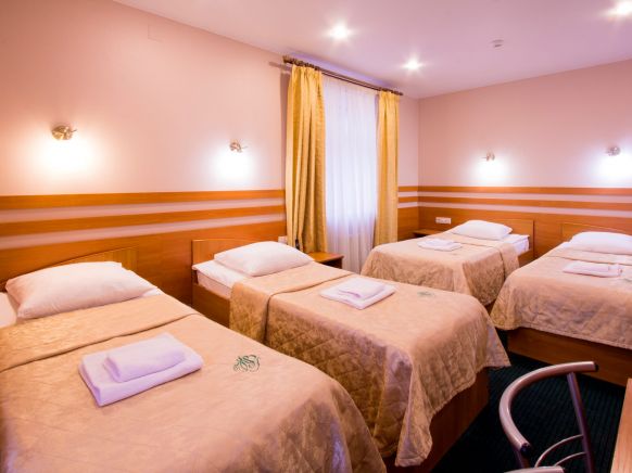 Фотография номера гостиницы Коломяжский Визит