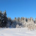 Номер (Дом с 4 спальнями), Коттеджный комплекс Филина Гора