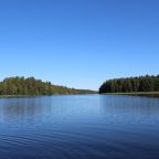 Номер (Дом с 4 спальнями), Коттеджный комплекс Филина Гора