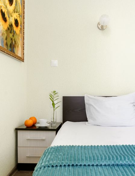 Фотография номера гостиницы Александрия