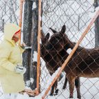 Номер (Барский коттедж), Гостевой дом Басаргино