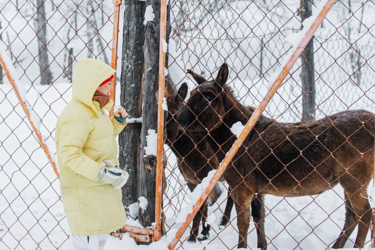 Номер (Царский дом), Гостевой дом Басаргино