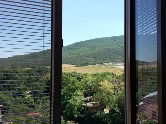 Фотография номера гостиницы Лотос