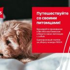 Двухместный (Стандартный двухместный номер с 1 кроватью), Отель Ibis