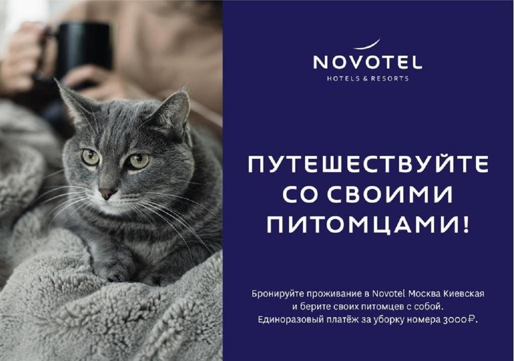 Двухместный (Улучшенный двухместный номер с 1 кроватью) отеля Novotel Москва Киевская