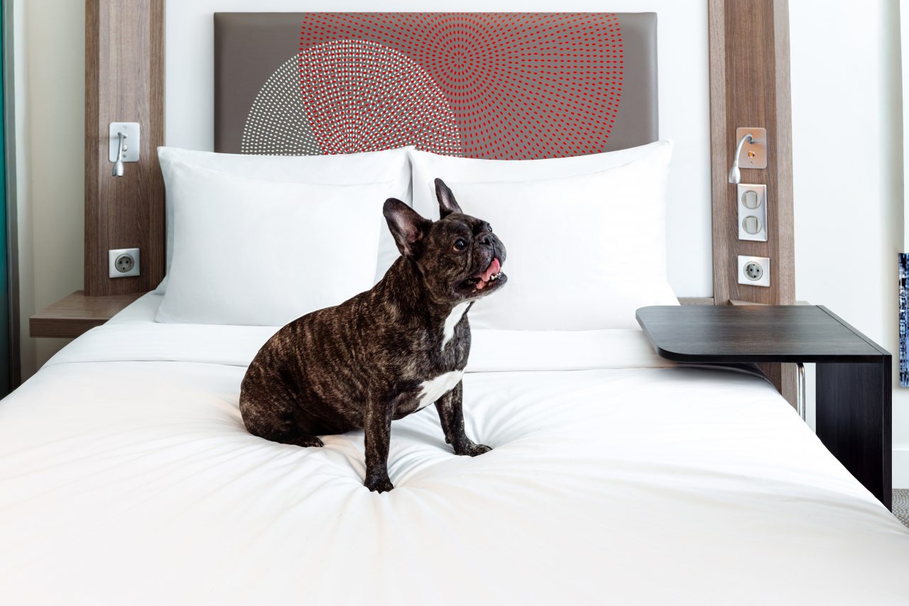 Допускается размещение домашних животных, Отель Novotel Москва Киевская