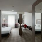 Двухместный (Представительский двухместный номер с 1 кроватью), Отель Novotel Москва Киевская