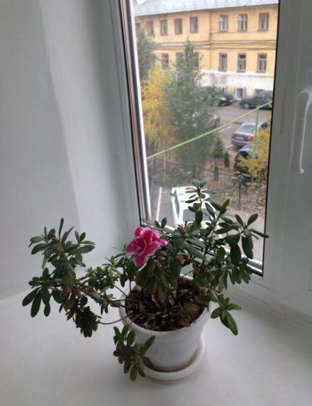 Фотография номера хостела Фреш Казань