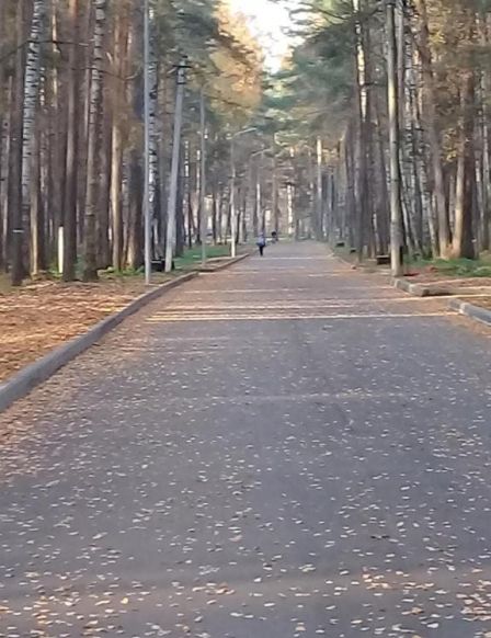 Дом отдыха На Берендеевской