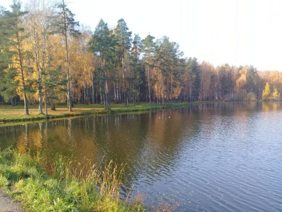 Дом отдыха На Берендеевской