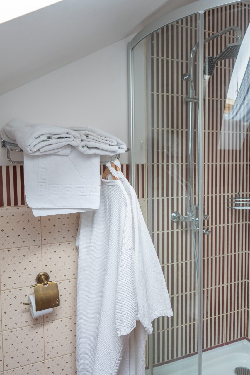 Двухместный (Двухместный номер с 1 двуспальной кроватью и раскладным креслом.), Арт-отель Скворечник