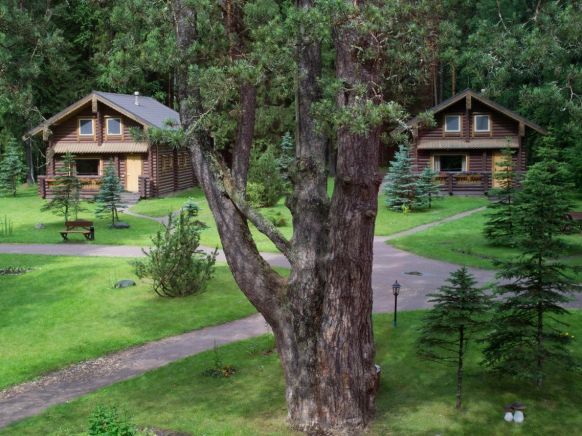 Фотография номера гостиницы Верижица