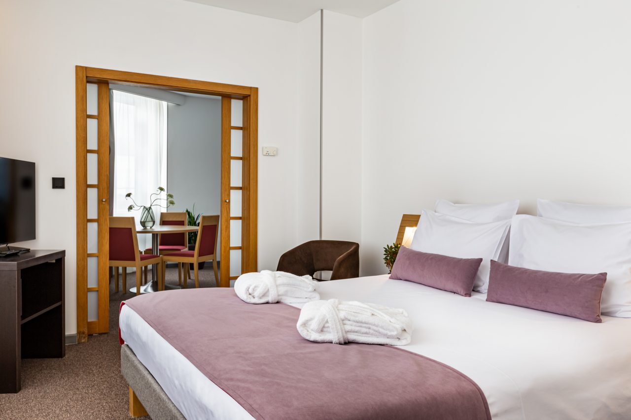 Люкс (С двуспальной кроватью и раскладывающимся диваном), Гостиница Novotel Санкт-Петербург Центр