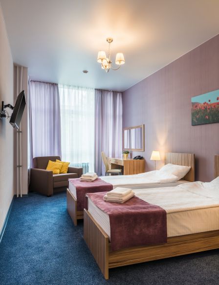 Фотография номера гостиницы Тесса