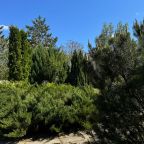 Сад, Гостиница Светлый