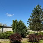 Сад, Гостиница Светлый