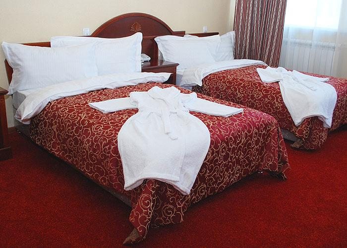 Двухместный (Двухместный номер Делюкс с 1 кроватью или 2 отдельными кроватями) отеля Талани, Алматы