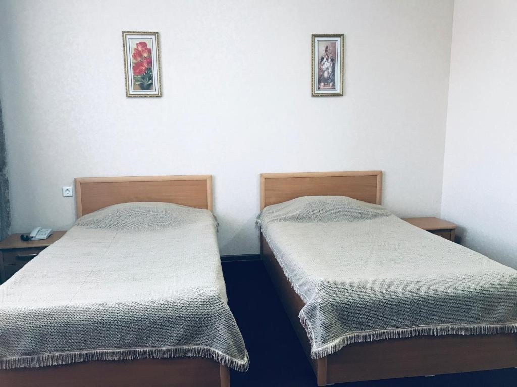 Двухместный (Двухместный номер с 2 отдельными кроватями) отеля Алтын Адам, Астана