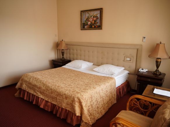 Фотография номера гостиницы Александр