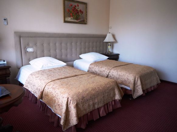 Фотография номера гостиницы Александр