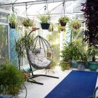 Люкс (С бассейном), Гостиничный комплекс Александр