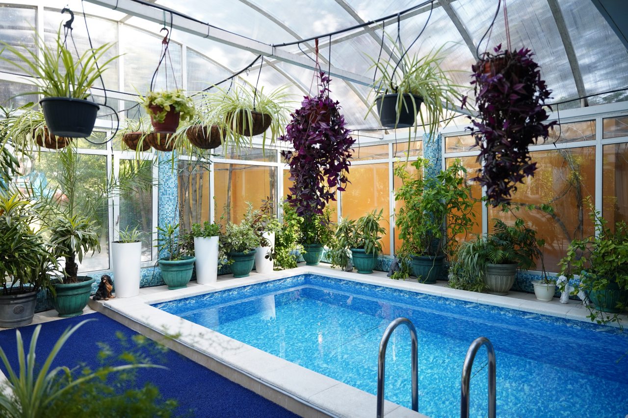 Люкс (С бассейном), Гостиничный комплекс Александр