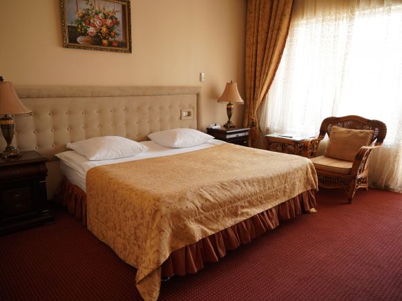 Фотография номера гостиницы Александр