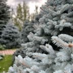 территория гостиничного комплекса