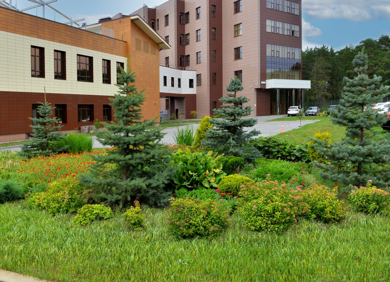 парковка ресторана