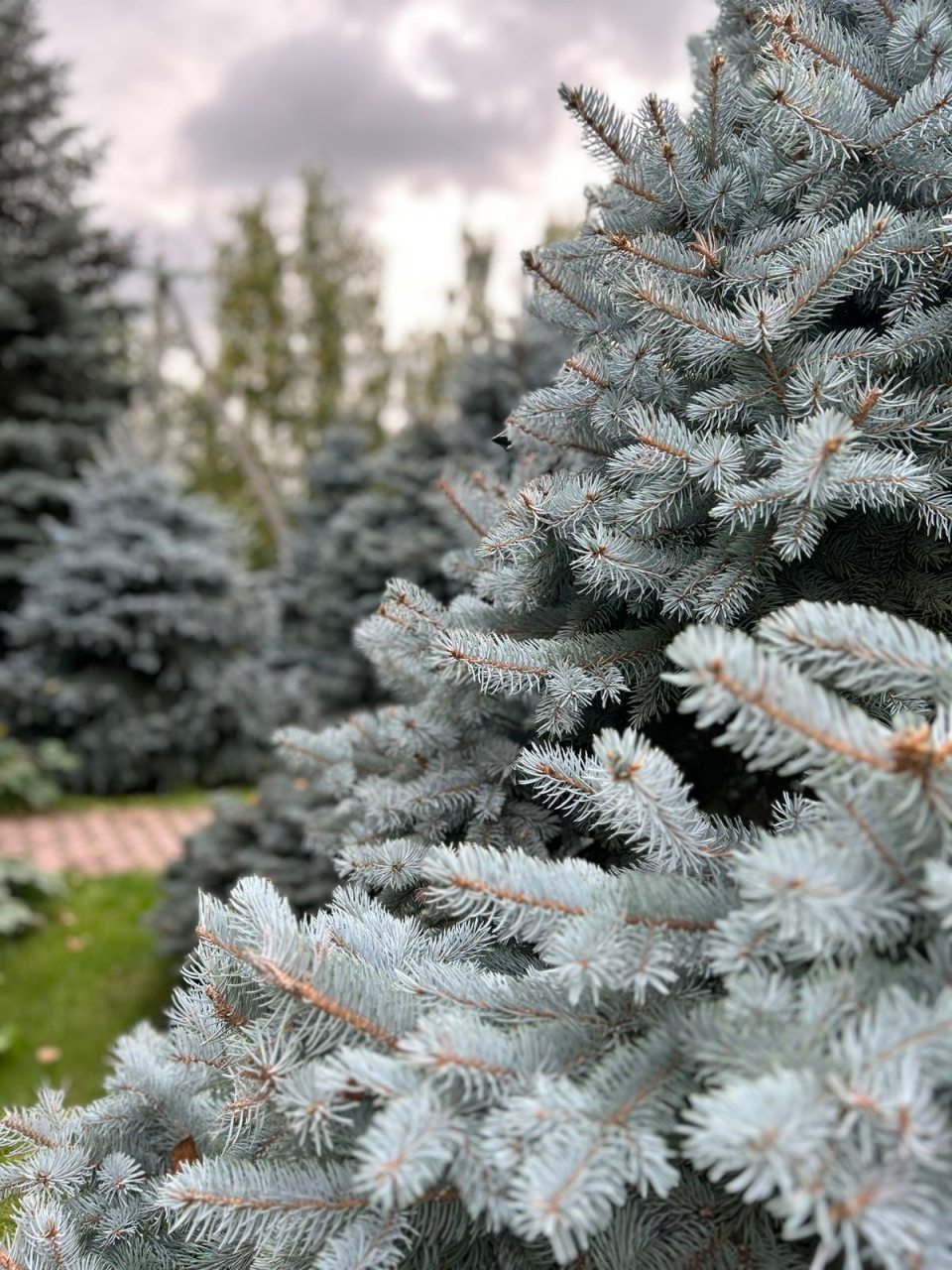 территория отеля