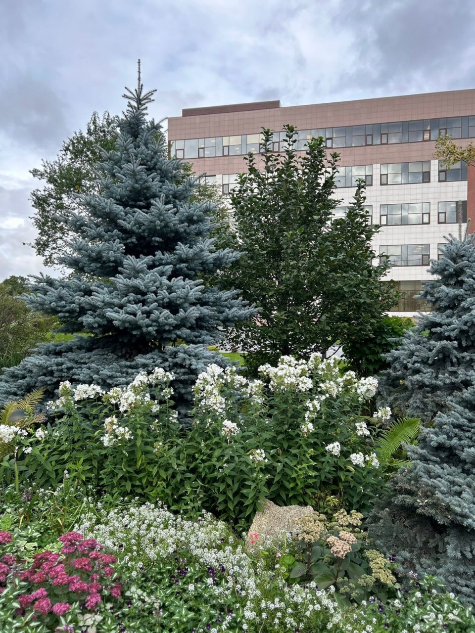 территория отеля