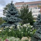 территория отеля