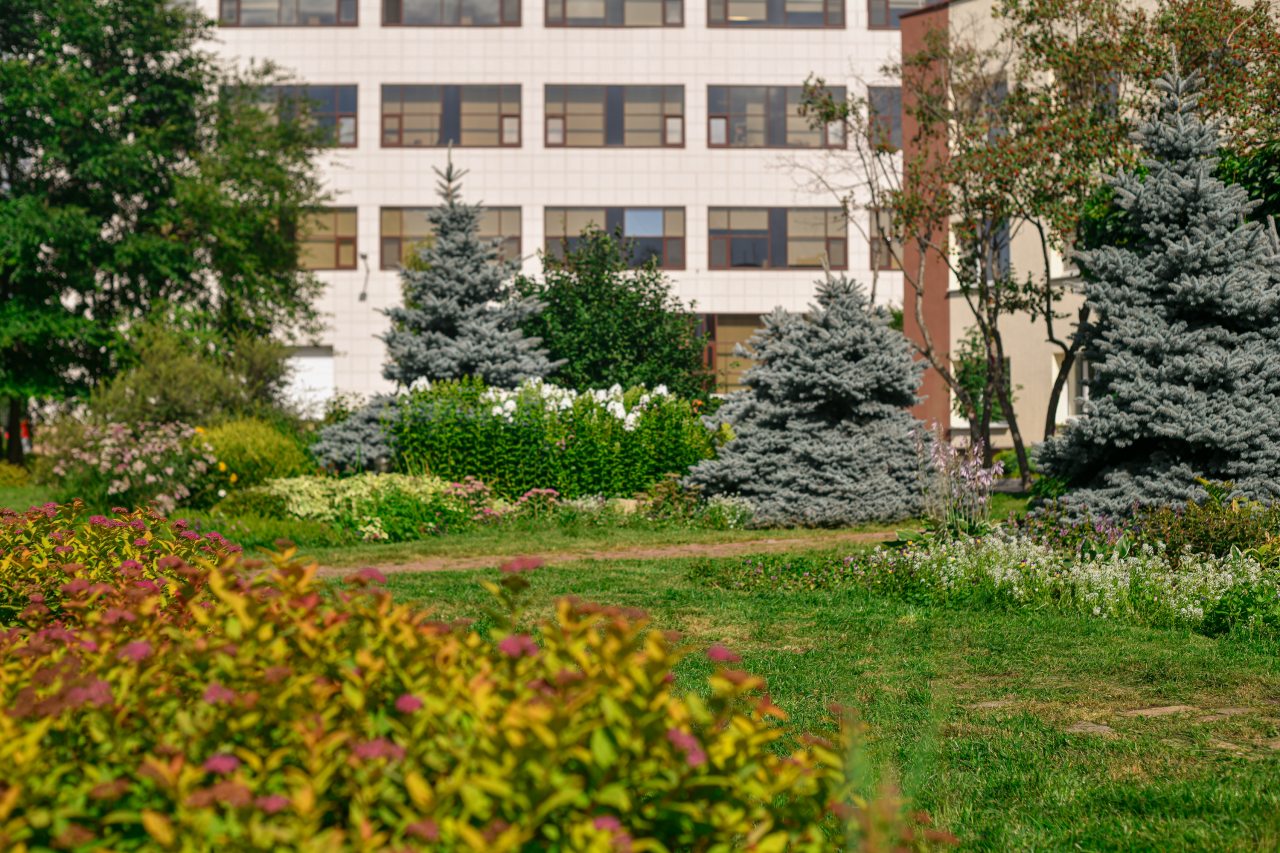 территория отеля