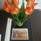 Двухместный (Улучшенный стандарт), Отель Эрмитаж