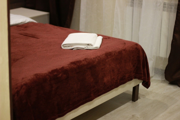 Двухместный (Комфорт с одной двуспальной кроватью) гостиницы Глобус, Калуга