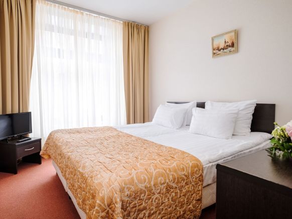 Фотография номера гостиницы Смольнинская