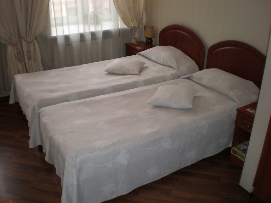 Двухместный (Стандартный с 2 -мя кроватями) гостевого дома Баттерфляй, Санкт-Петербург