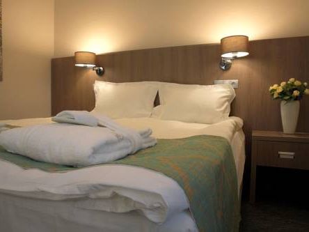 Фотография номера гостиницы Покровский 