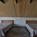 Двухместный (Стандарт улучшенный с общим душем), Отель Галерея Левитан