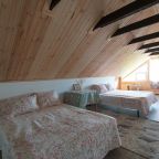 Двухместный (Стандарт улучшенный с общим душем), Отель Галерея Левитан