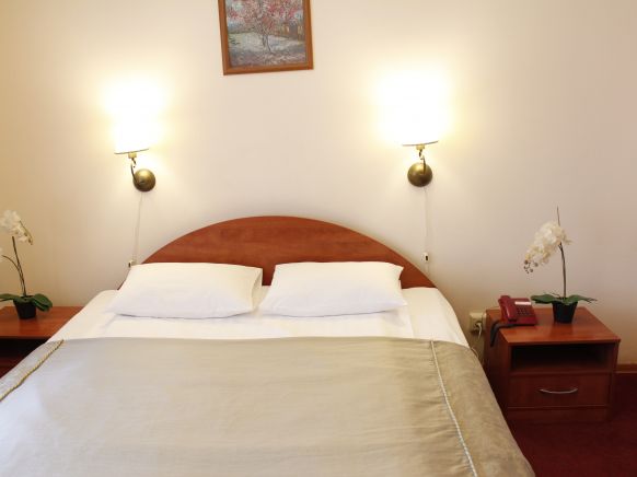 Фотография номера гостиницы ЕВРОтель Центральный