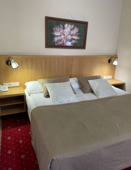 Фотография номера гостиницы Союз