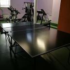 Настольный теннис, Бизнес-отель Союз