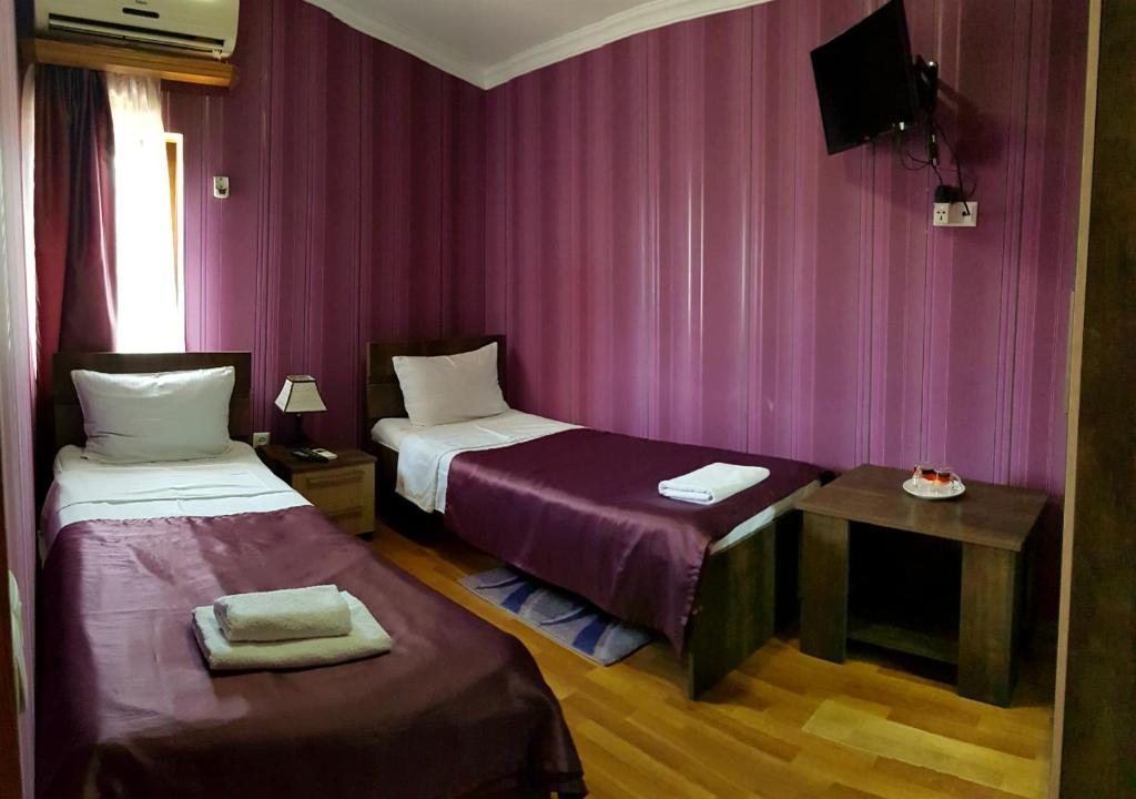Двухместный (Стандартный двухместный номер с 2 отдельными кроватями и видом на город) отеля Бонус, Тбилиси