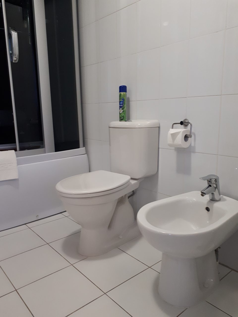 Двухместный (Улучшенный с диваном), Гостиница Спутник-inn