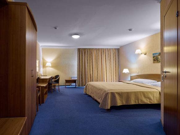 Фотография номера гостиницы Сосновый Бор