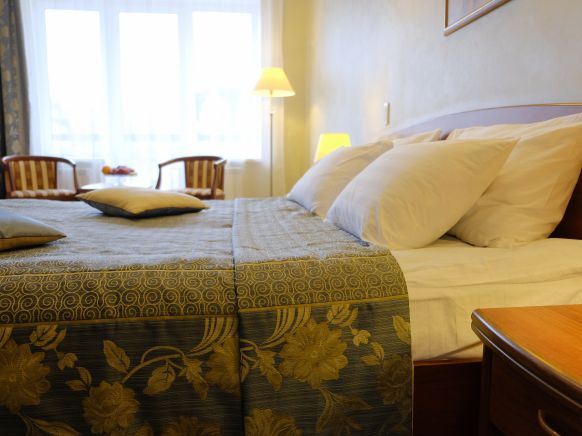 Фотография номера гостиницы Сосновый Бор