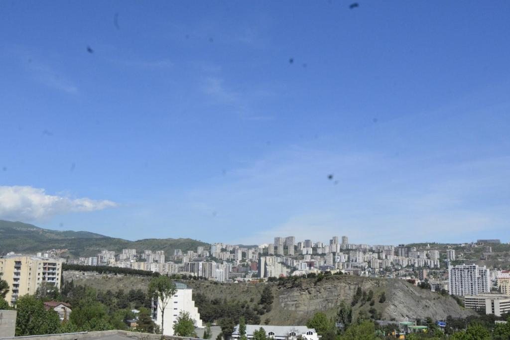 Апартаменты (Апартаменты с 1 спальней и балконом - Вид на город и горы) апартамента Full Comfort Apartment at Chavchavadze, Тбилиси