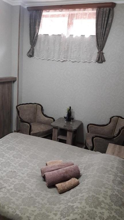Двухместный (Бюджетный двухместный номер с 1 кроватью) апарт-отеля Отин, Тбилиси